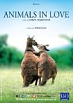 Animals in Love